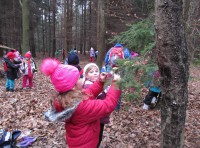 /album/a20-12-vanocni-les/vanocni-les-2-jpg/